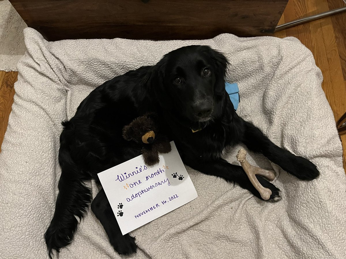 Eric Balcanoff tweet media