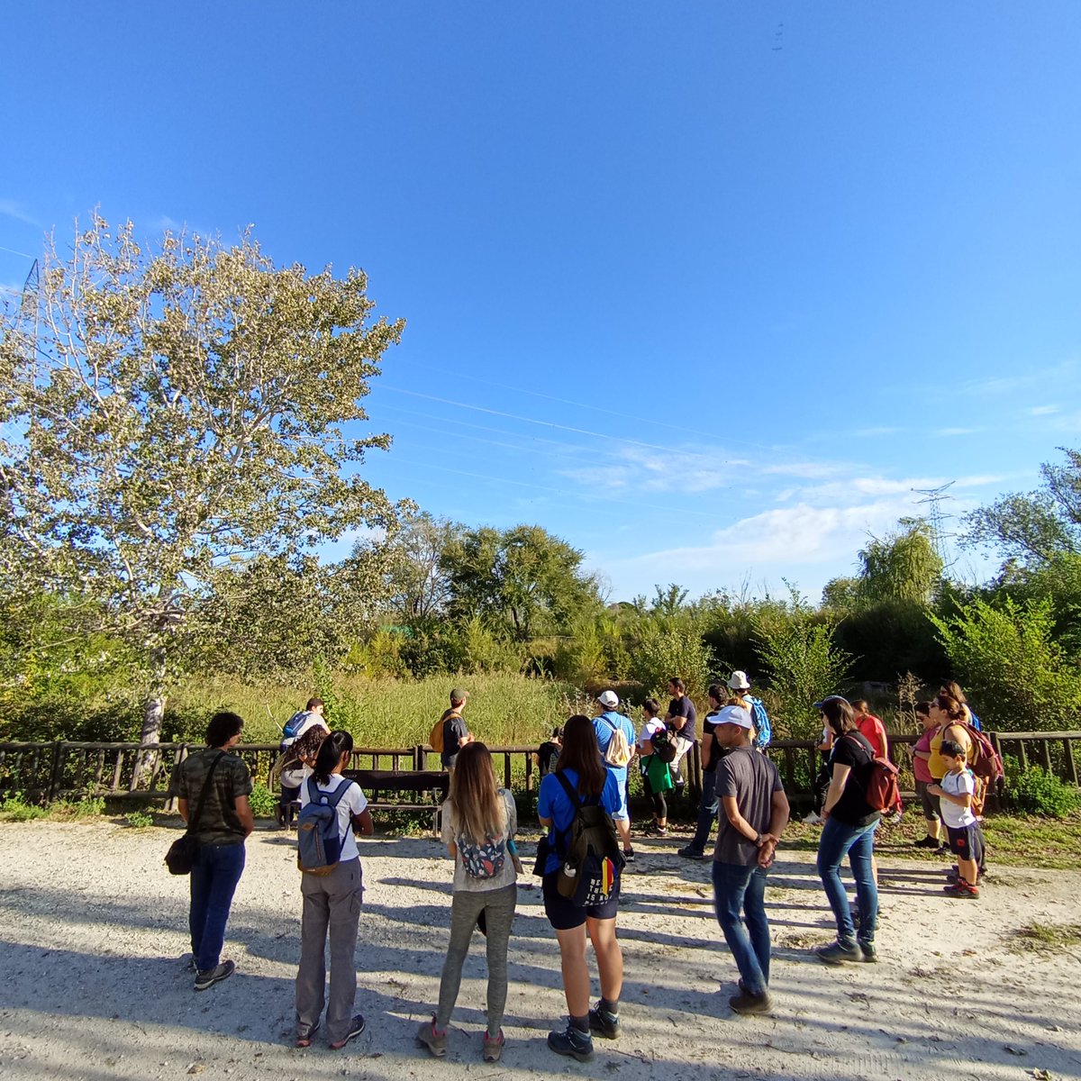 Sanse_alNatural's tweet photo. Hoy hemos tenido un día fantástico de ruta por la #DehesaBoyal de #Sanse hablando de charcas temporales junto con los investigadores de la #UAM @climariskinpond 
¡Qué interesante ha sido!
Muchas gracias a todxs por venir 🐸 https://t.co/JGFr63KVFV