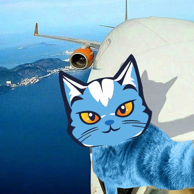 Katcoin_eth's tweet photo. $KATS cruising on its way to its final destination. https://t.co/pI4sD9HACC