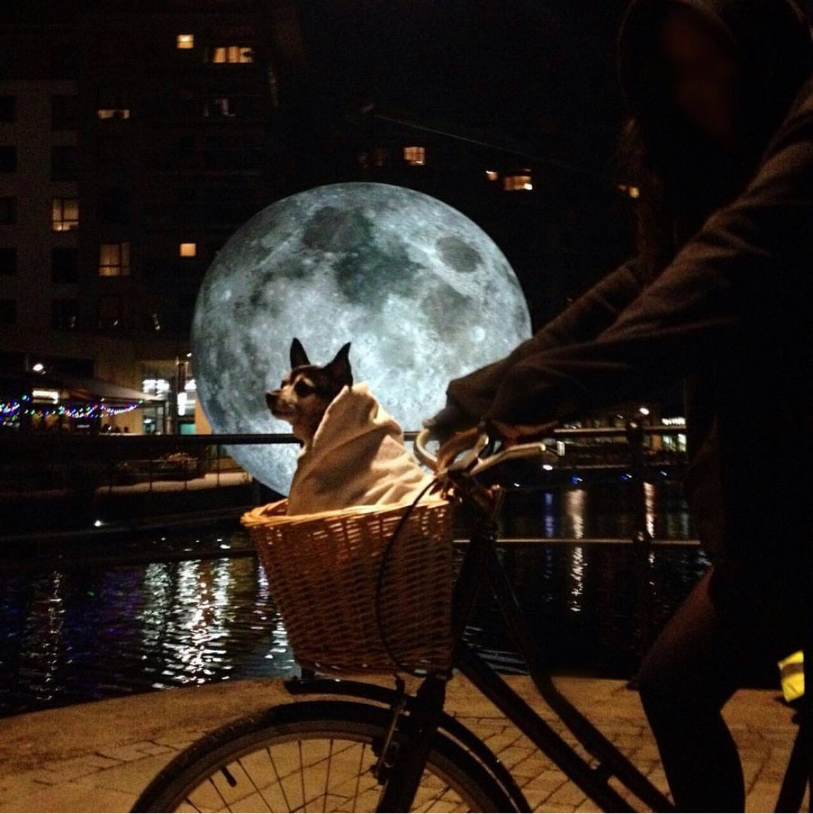 Light night Leeds! Thursday 12th and Friday 13th October- the whole city lights up and the docks is always brilliant. Opening late until 9pm both nights - come say hi! 
This pic was 2017 - our dog and Luke Jerram’s fabulous Moon over the water.