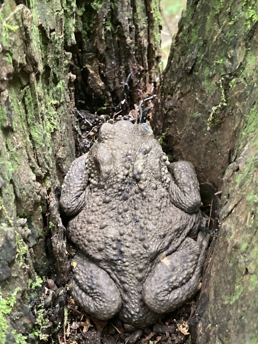 Alex Lowe tweet media