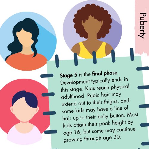 POS_Muse's tweet photo. You might notice the #child trying out new things like clothing styles, subcultures, music, art, or friendship groups. Friends, family, media, and culture are some of the #influences on the child’s choices in these years.

4/n https://t.co/bptGaVamTq