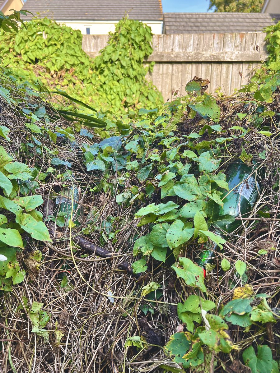 MePlasticSea's tweet photo. Little pootle round Furzeham and picked a full bin bag of litter. Glass bottles in hedges, cans, medication blister packs, McDonald’s rubbish. 
Oh and 2 dog poo bags and 80 cigarette butts. 😞 #LoveBrixham #Brixham #Torbay #Litterpick https://t.co/zW0XrJsFdh