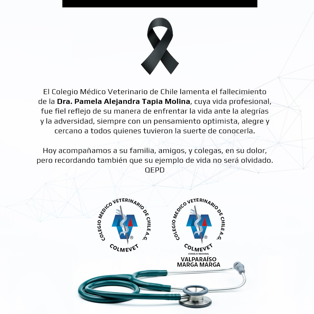 Con hondo pesar, como Colmevet, despedimos hoy a nuestra colega y amiga Dra.  Pamela Tapia Molina.
Para quienes puedan acompañar a su familia, amigos y colegas en su último adiós, les informamos que su misa se realizará el día de hoy en El Olivar, Viña del Mar, a las 14:00h QEPD.