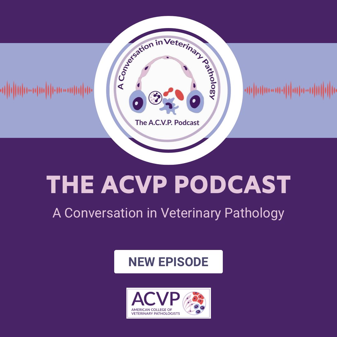 Are you following our ACVP podcast!?

In Episode 4, we talk with anatomic pathologist Dr Laura White from @WSUvetmed (WADDL). She discusses veterinary nerdiness, commitment to mental health during residency, and much more.

Tune in now!

🎧 bit.ly/45lyfGM
