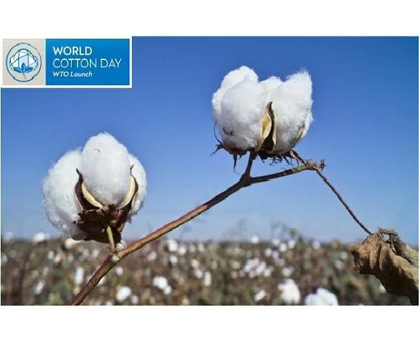 ali_abbas_u's tweet photo. Controlling the whitefly attack has been made possible thanks to the collaboration with Pak Army Institute LIMS. #PunjabGovernmentinAction https://t.co/TaFBIz7bdn