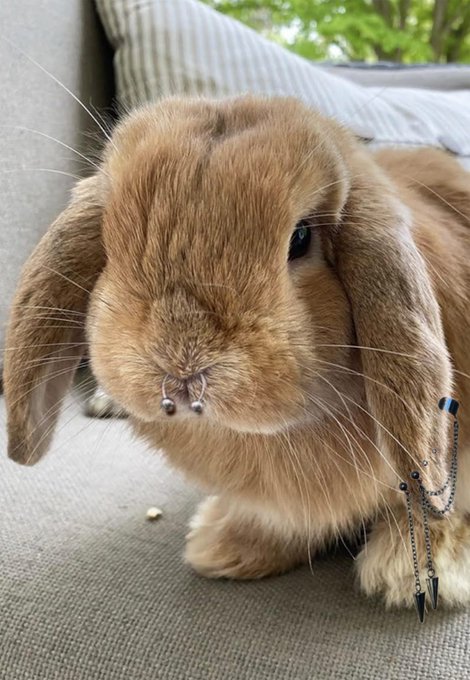 this is who you're bullying when you bully me btw. https://t.co/jIRWACxQum