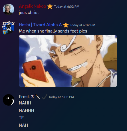 hoshihoku69's tweet photo. Good Morning Twitter. For Today's #TraumaWithHoshi we have me just having a haha silly moment in vc with @AngelicNekoo and @GraveVFrost  .  Just a haha silly. #vtubers #discordscreenshots https://t.co/2YyqS7YX4p