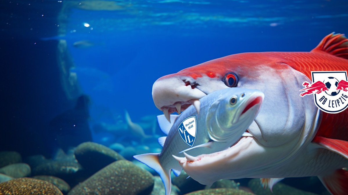 Lawnball_VAR's tweet image. Wenn man zwei Elfmeter verschießt und insgesamt zu unpräzise und zu langsam seine Angriffe vorträgt, dann verschluckt man sich eher an kleinen Fischen, als das man sie "auffrisst". 🐟 #RBLboc #RBLeipzig