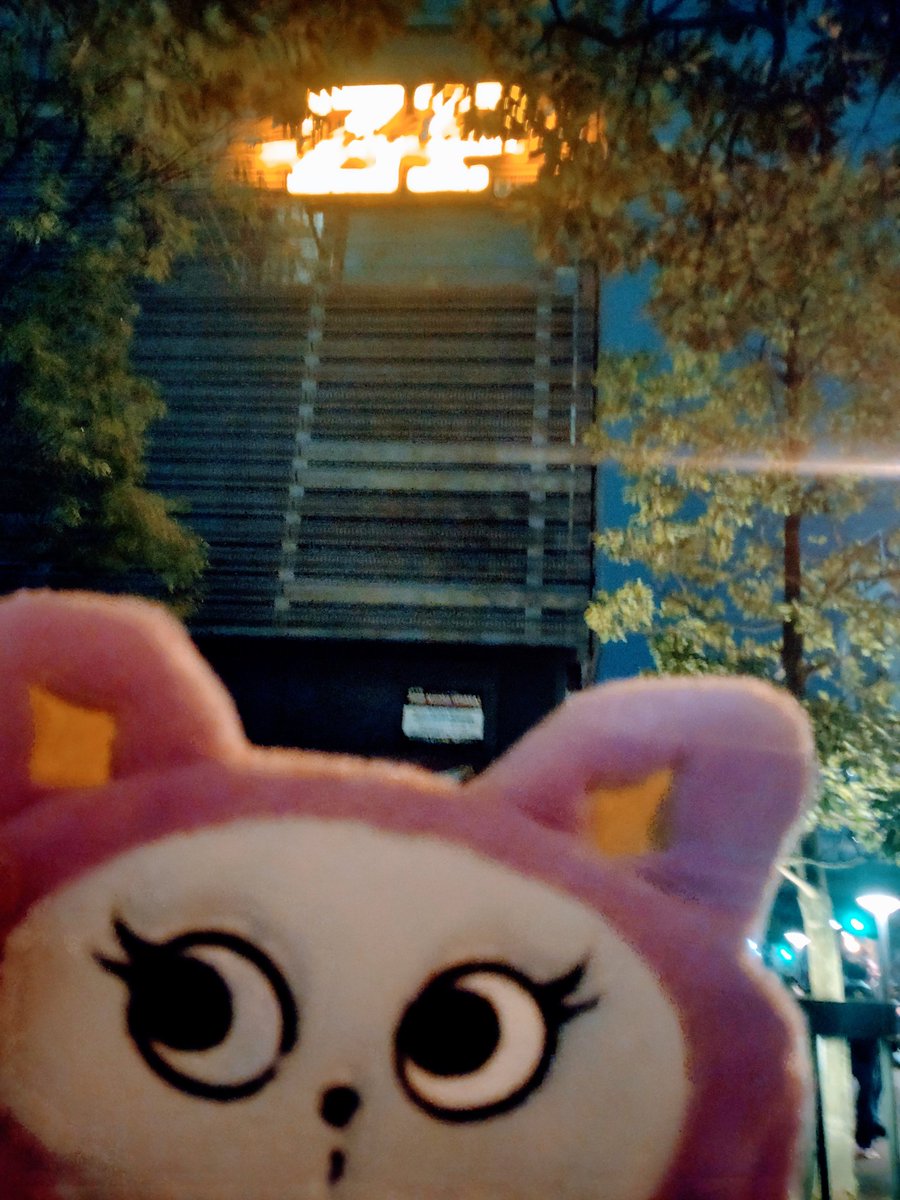 souyukotooyuu's tweet photo. 家入レオちゃんLIVETOURNakedに参加しました🎪LIVE🎸🙋🙌🎶
最初からの爆上げ曲で、テンション爆上がり⤴︎⤴︎
感情ジェットコースからの新曲もう最高のセトリでした😆
レオちゃんの被り物も良き👍
数年後の約束、叶うといいね
 #家入レオ
 #Naked
 #LEPY 
 #leo_Naked
 #Zeppnanba https://t.co/DwlGzLLCBU