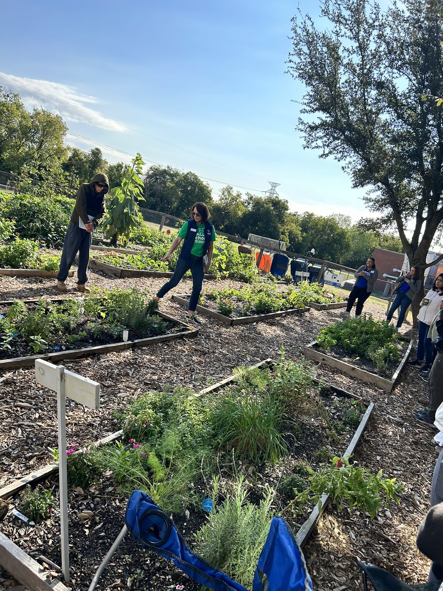 PLAHME1's tweet photo. Saturday hands-on gardening PD at @McShanMustangs1! Getting ready to make our garden look this beautiful! #outdoorlearningspaces @DallasISDSupt @SBarrios_DISD https://t.co/zdR51xetg4