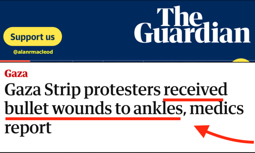 Alan MacLeod tweet media