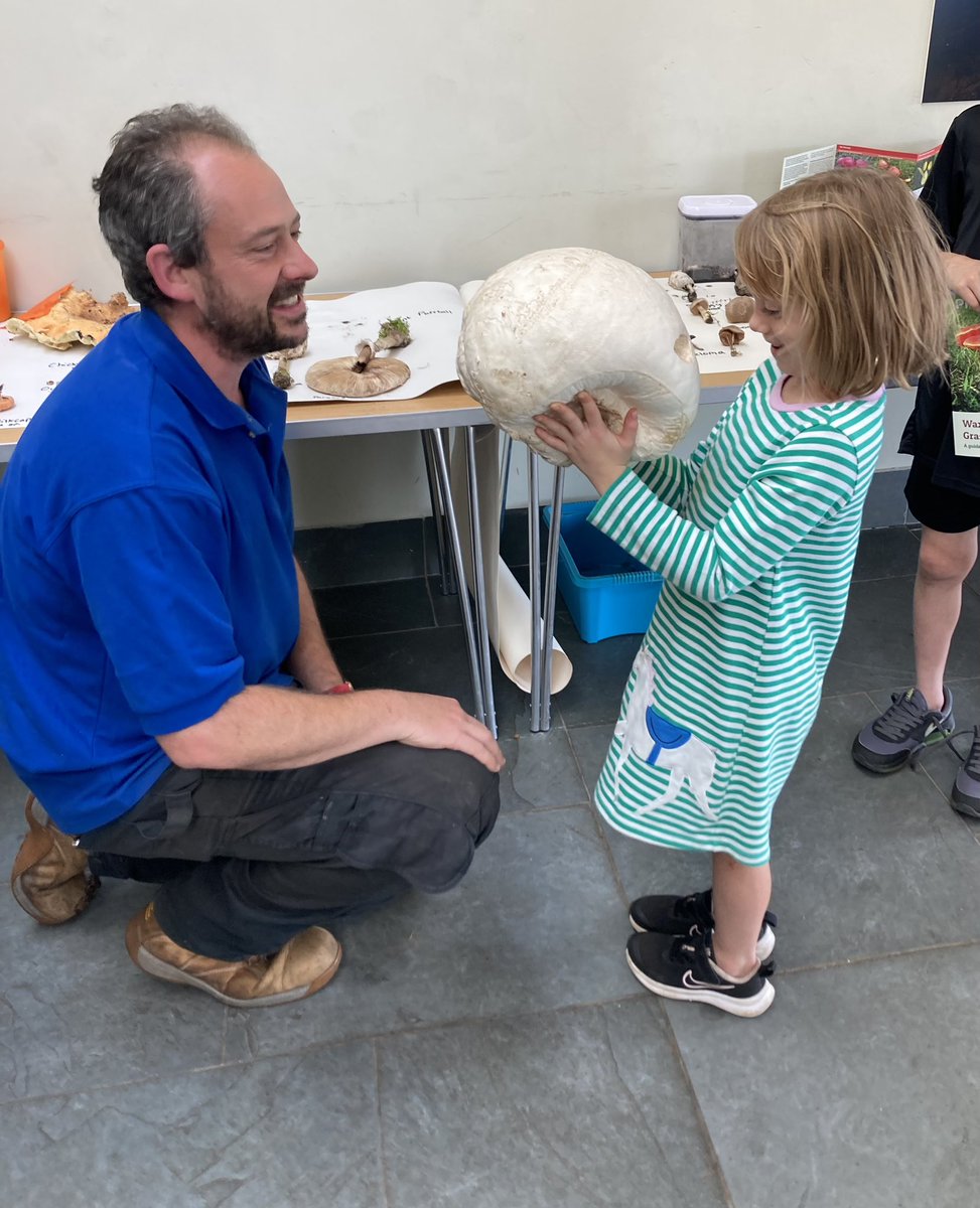 StevePa46290725's tweet photo. Where better to celebrate @ukfungusday than with the lovely folk at Kenfig @KenfigWarden #fungi #puffball #orkids https://t.co/9qJvXEnqg1