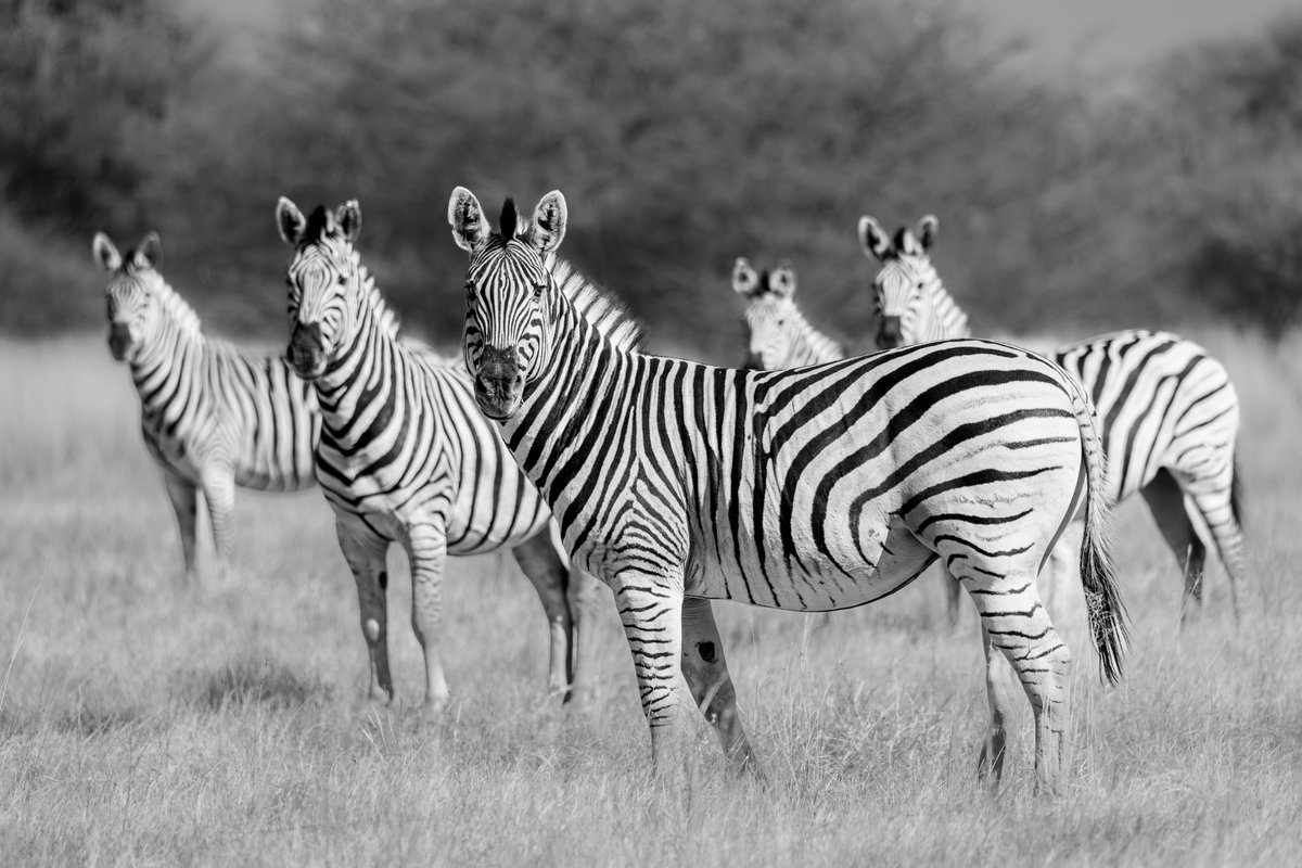 Stephanie Stone tweet media