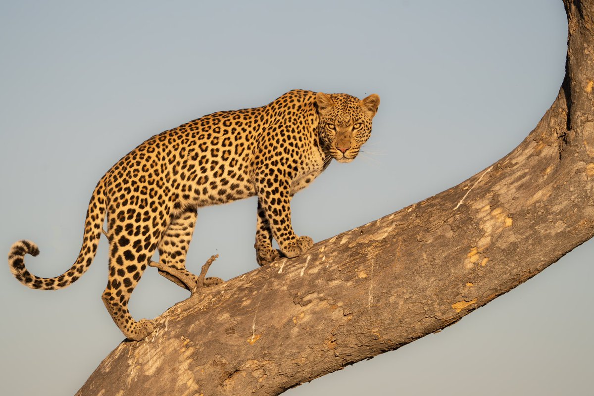 Stephanie Stone tweet media