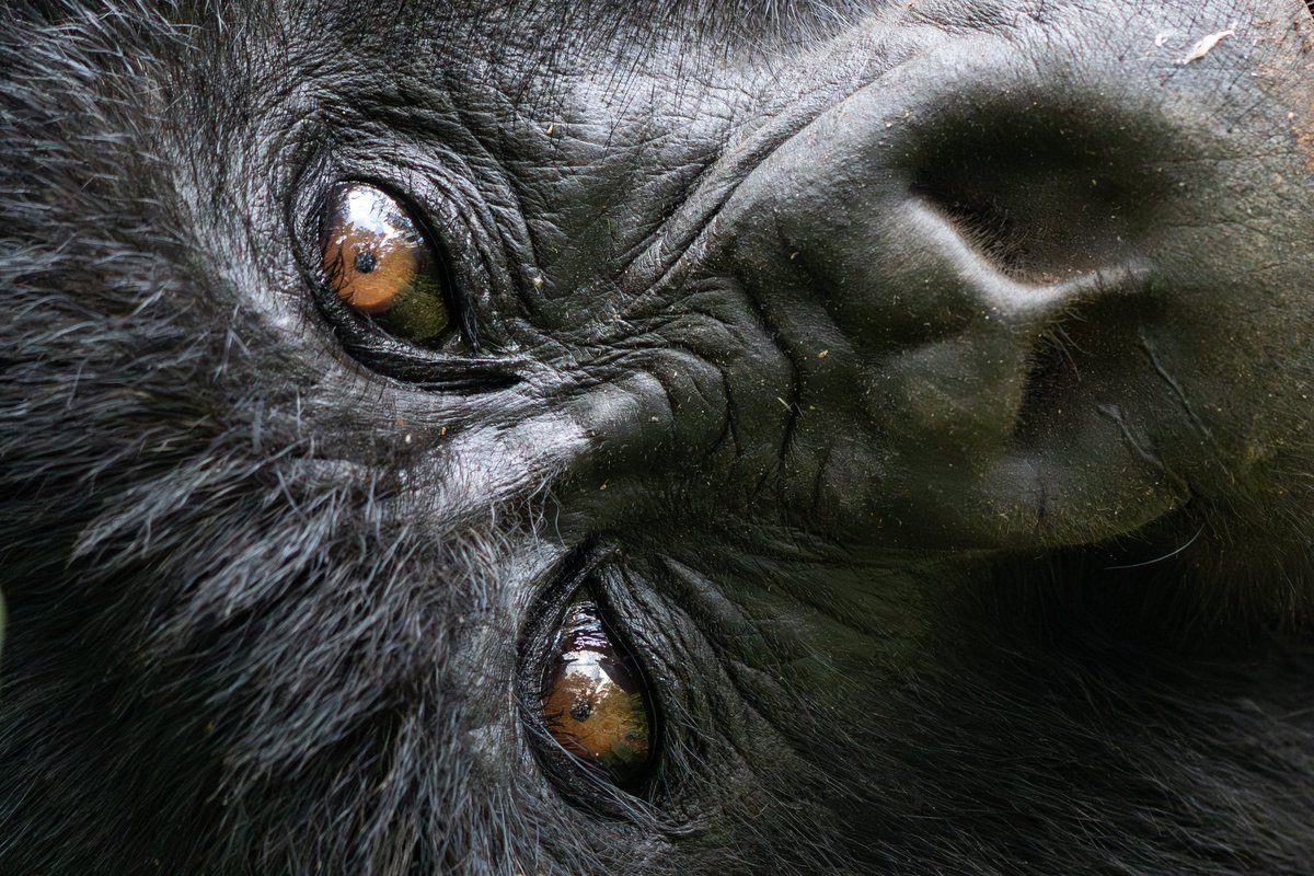 Stephanie Stone tweet media