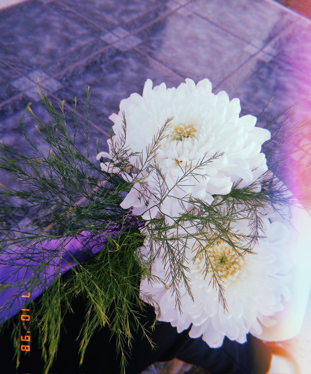 y si estuvieran ustedes, nada más me faltaría
las amo hasta donde sea que estén