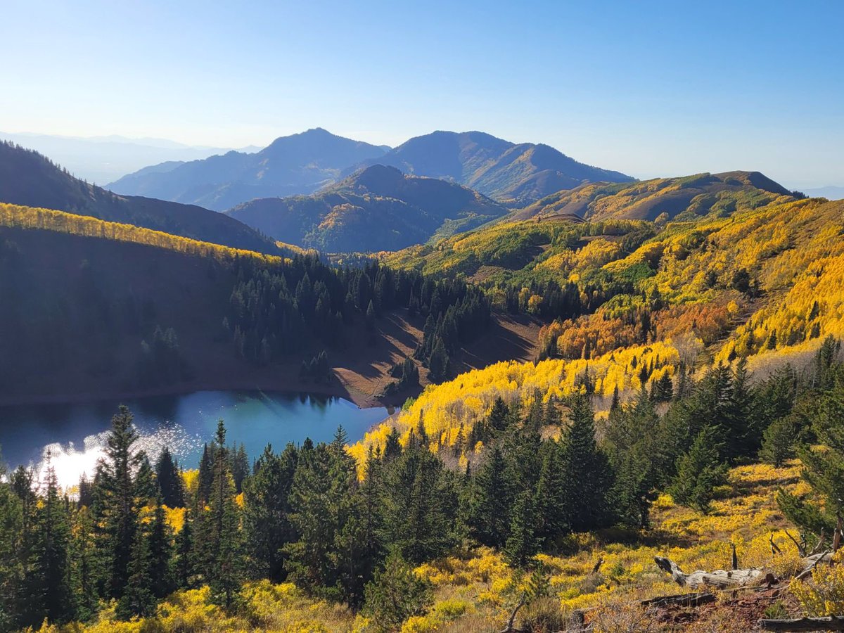 Paul Rosengard tweet media