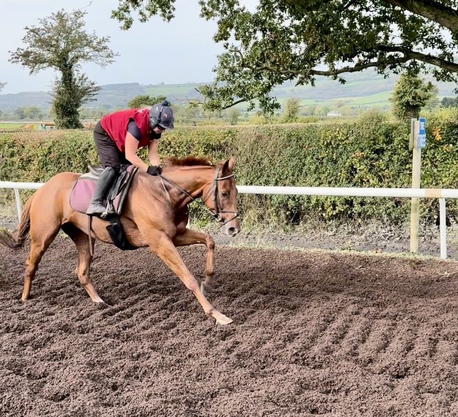 🚔 It's the sound of the...

MISTER POLICEMAN, well backed for the Arkle Novices Chase at the 2024 Cheltenham Festival, out on the gallop at Closutton this morning.

👀 Another top novice prospect for Willie Mullins to go to war with.

(📷: <a href="/PaaaMoore/">Pa Moore</a>)