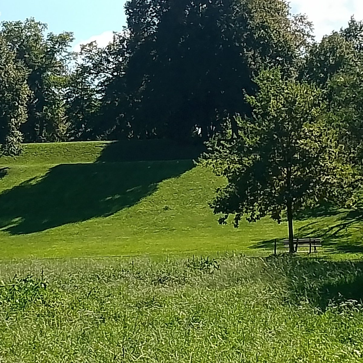 <a href="/CarstenKel55680/">Carsten Keller</a>