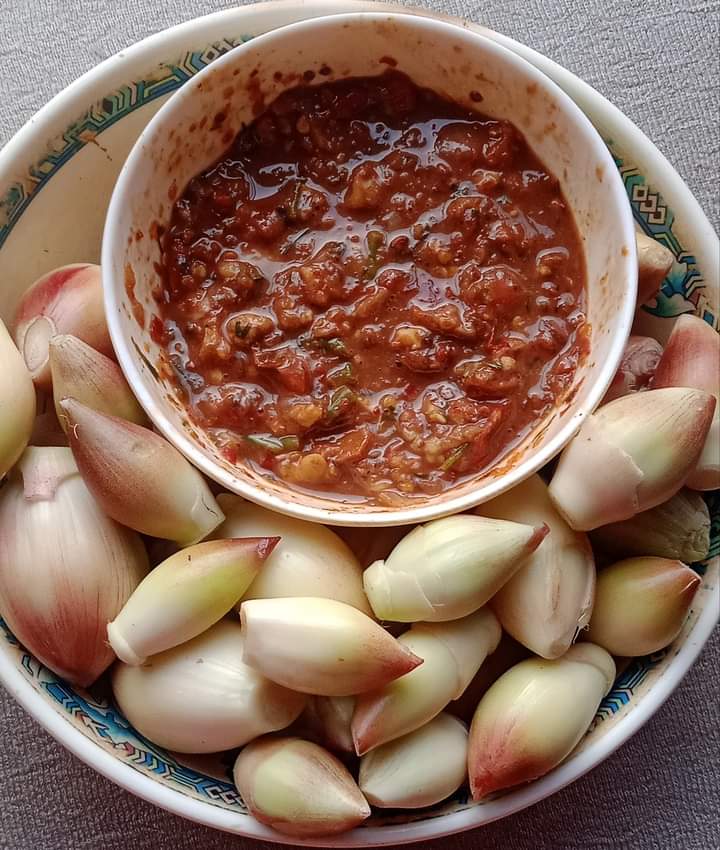 mizozeitgeist's tweet photo. Aidu in Mizo - Amomum dealbatum in #Mizoram market.
🫘The bud of wild cardamom.
🍛 #Aidu #Curry #Mizo #dish #food
"Aidu, Aidu Aidu
Khawṭhal aidu aidu
Aidu, muttuina"
~KC Lalvunga(Zikpuii pa)
'Mami pa mumang' https://t.co/uqoMMUnxFb