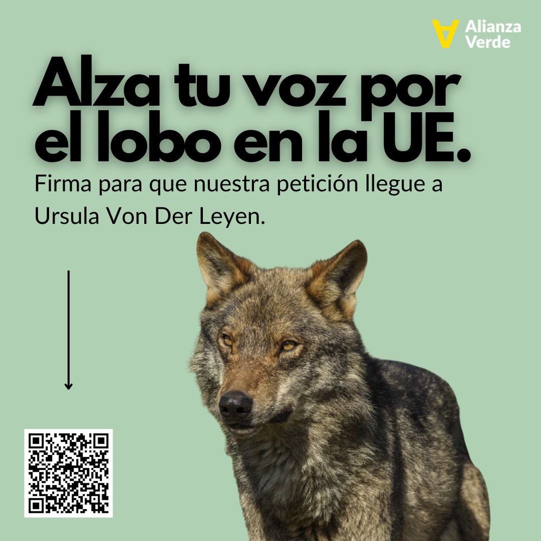 Por el #LoboVivo y #LoboProtegido Mira esta petición y firma 👇 alianzaverde.es/petitions/alza…