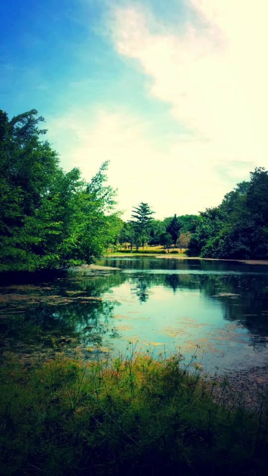 palmerdebra's tweet photo. Forgot to share this one! 😍 #nature #photography #adventureb https://t.co/J4kqYP8TYo