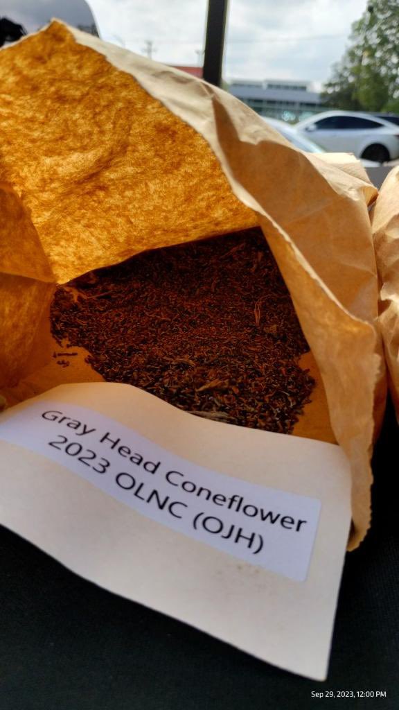 Meredith Doyle tweet media