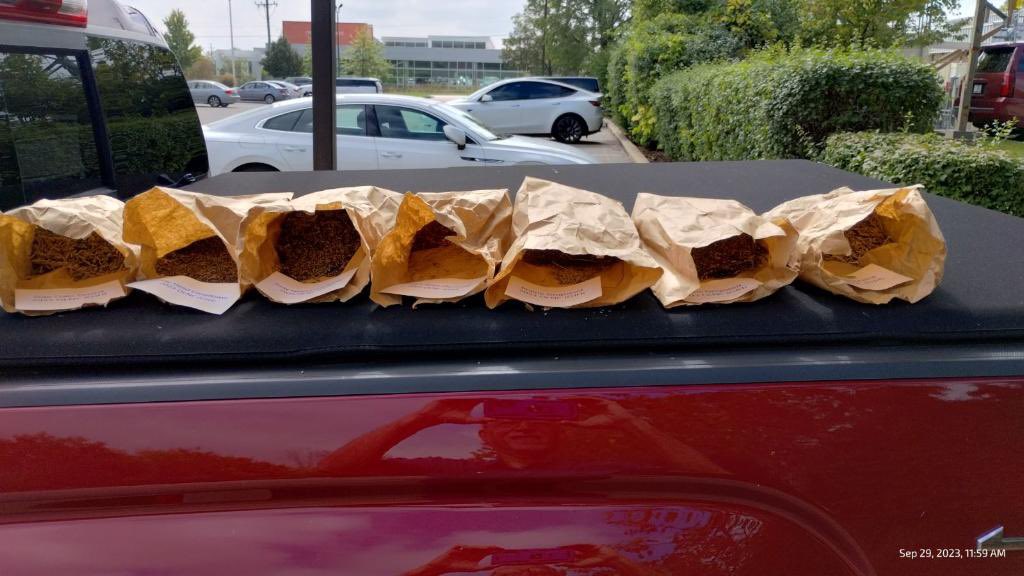 Meredith Doyle tweet media