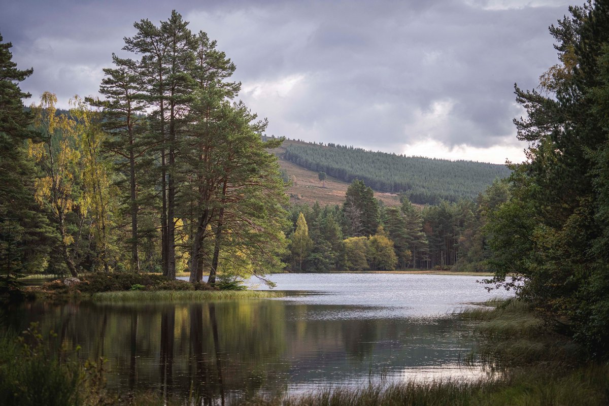 A tranquil Sunday is waiting 🎣 Offering a unique fly fishing experience in a truly stunning location - Glen Tanar’s trout loch, you'll be guided by experts from TwinPeakes Fly Fishing. To book any last minute spaces > bit.ly/3Qhaz2h #ProvenanceFestival2023