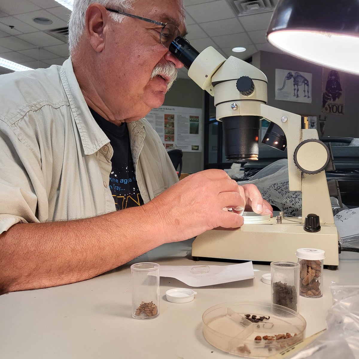 GrayFossilSite's tweet photo. The prep lab is where fossils are cleaned, consolidated, reassembled, and sorted. It's an essential part of the paleo-process, and we owe a huge thanks to our dedicated crew of students and volunteers who put in the effort week after week! https://t.co/YKZ9dTcqKy