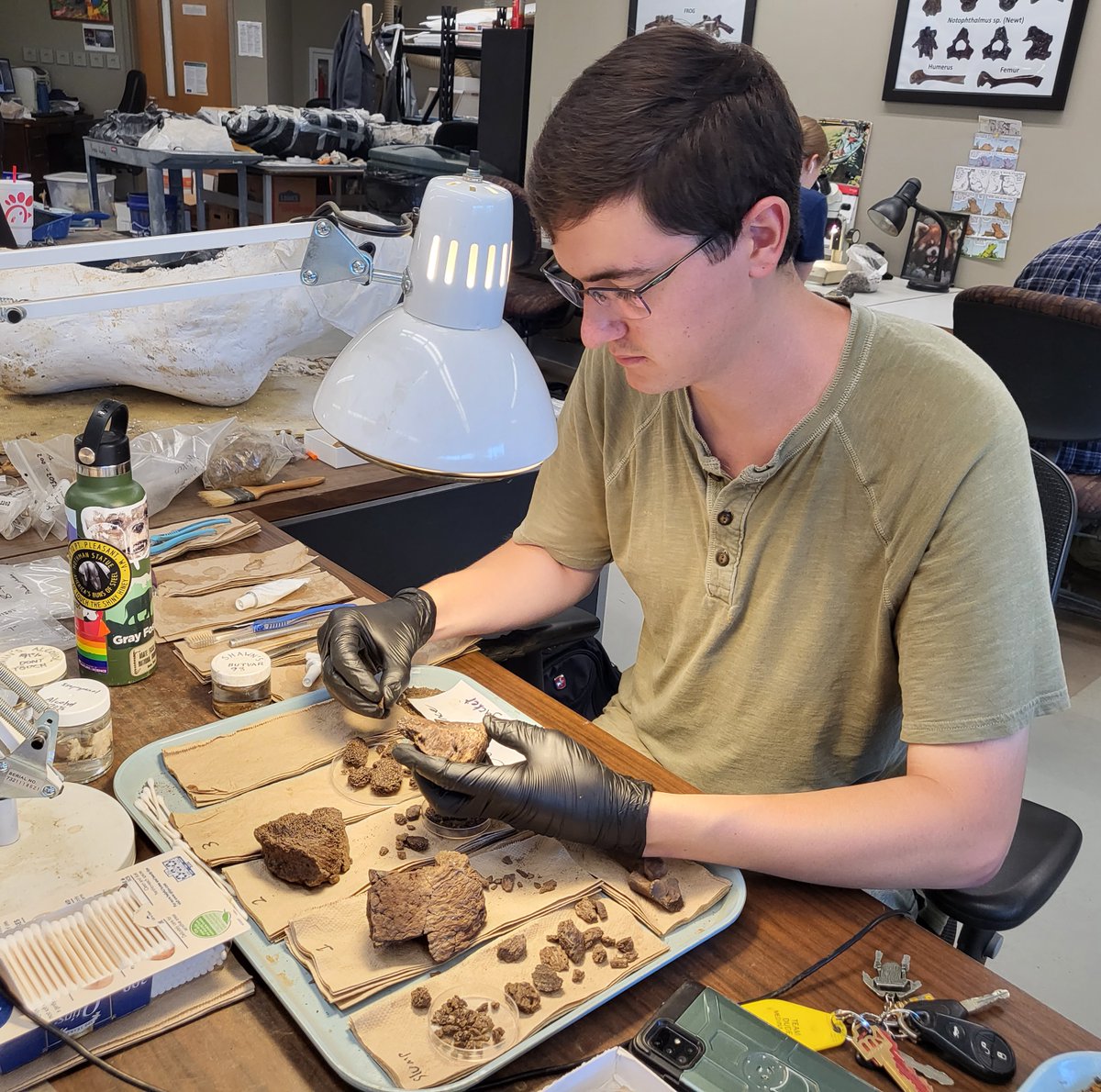 The prep lab is where fossils are cleaned, consolidated, reassembled, and sorted. It's an essential part of the paleo-process, and we owe a huge thanks to our dedicated crew of students and volunteers who put in the effort week after week!