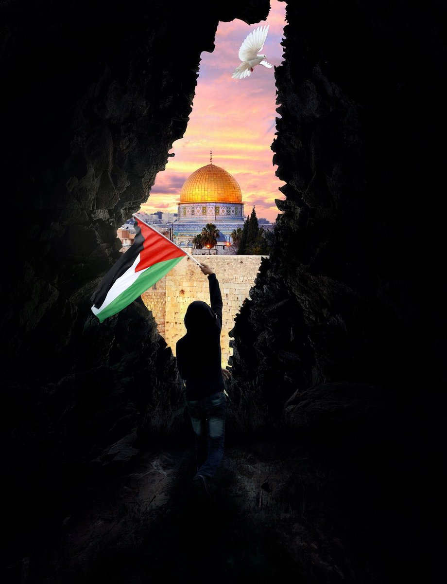 RichardM4rs's tweet photo. Le coût humain du conflit israélo-palestinien (morts/blessures) : documenté par l'ONU :

2008 :
Palestine 🇵🇸 : 3 202
Israël 🇮🇱 : 853

2009 :
Palestine 🇵🇸 : 7 460
Israël 🇮🇱 : 123

2010 :
Palestine 🇵🇸 : 1 659
Israël 🇮🇱 : 185

2011 :
Palestine 🇵🇸 : 2 260
Israël 🇮🇱 : 136 https://t.co/ffvMwjdtDz