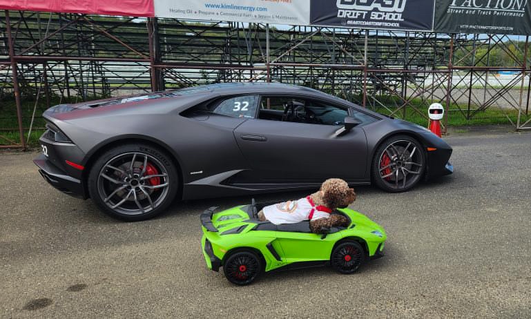"Excuse me, can you pull over... We'll need to see your license and registration please!"

But seriously, this is the cutest thing we've seen in a while😍