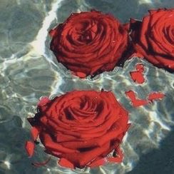 inkedupfalls's tweet photo. -Longing- https://t.co/amCSqmhjmk