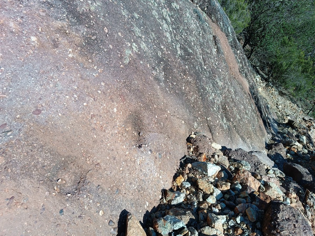 Què creieu que és? Son unes 8 marques d'uns 20cm de diametre, amb una regularitat d'1 m, i s'intueix una segona filera d'1'5 metre per sota.

Pista: Els trobem en el Cretaci superior Empordanès... ☺️

<a href="/geologoenapuros/">Un geólogo en apuros 🏳️‍🌈</a> <a href="/ICGCat/">ICGC. Generalitat</a> <a href="/pmashc/">Pere Mas Gonzalez</a> <a href="/geology/">geology</a> #Geology #Geologia <a href="/MuseuConcaDella/">Museu Conca Dellà</a>