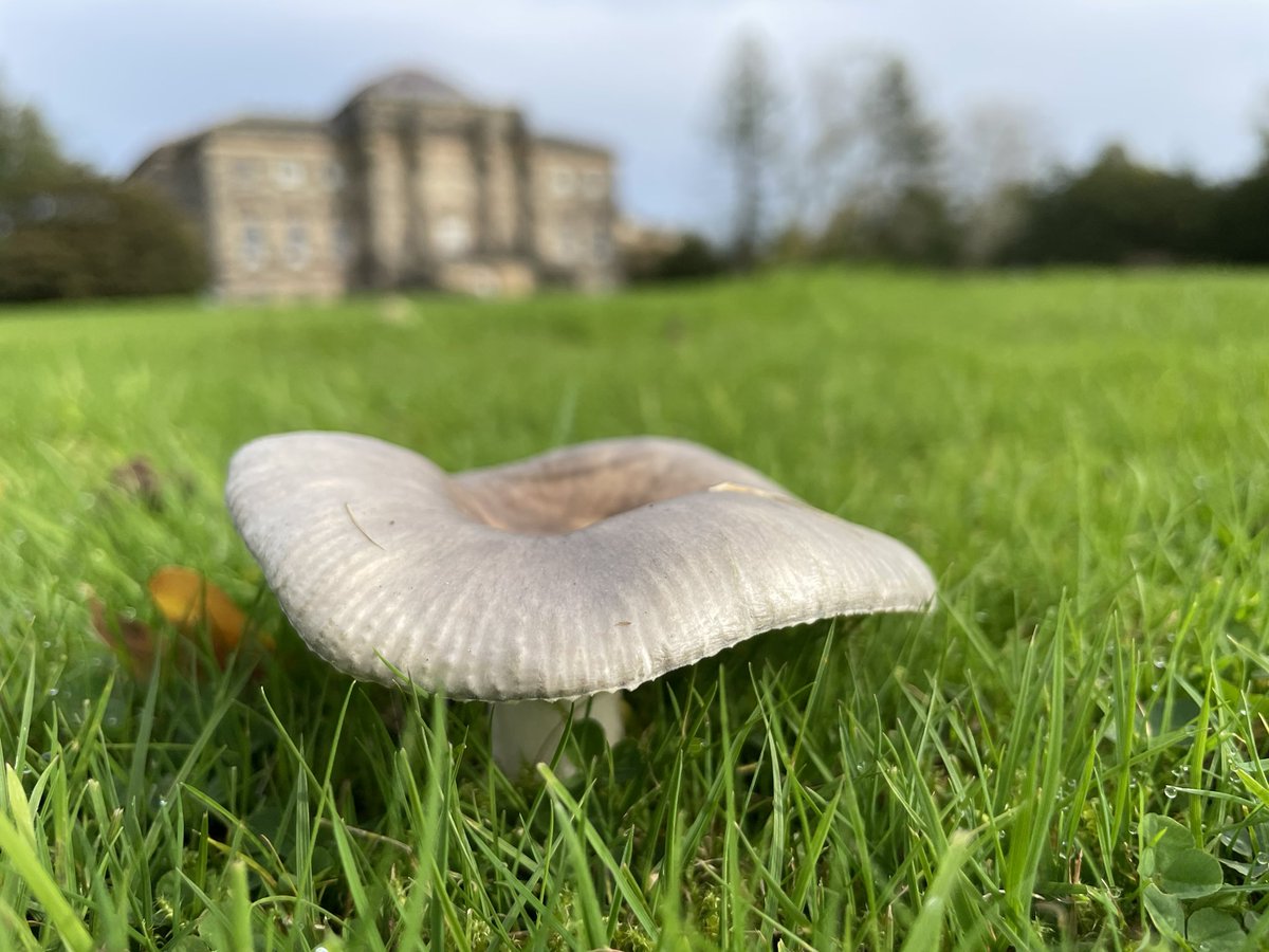 Helen Lee (@helenlee439414) on Twitter photo 