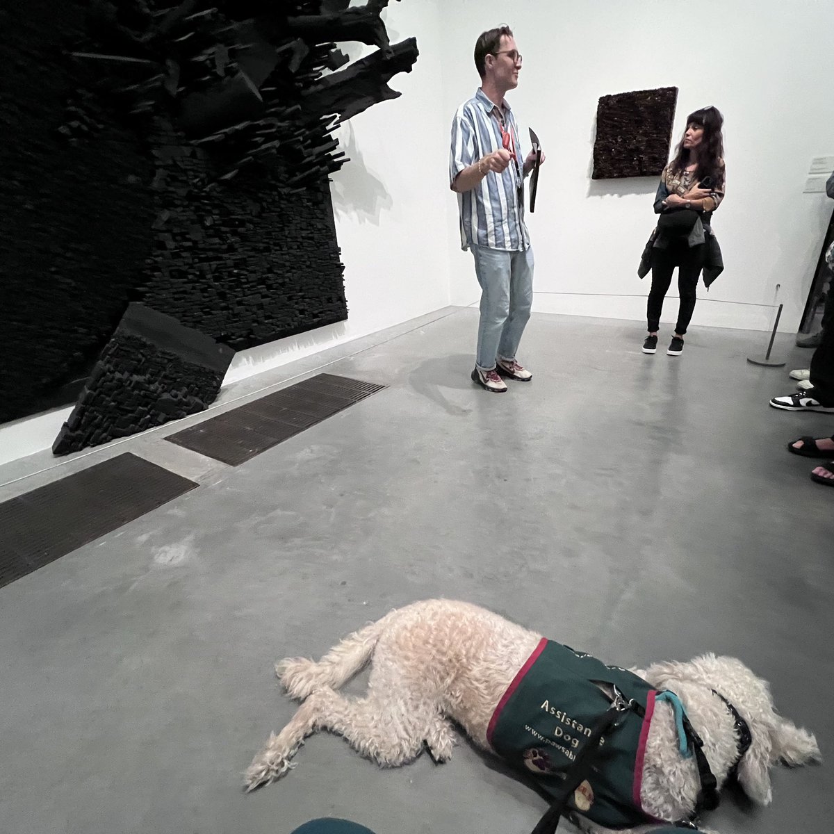 ArcherAndDoc's tweet photo. Archer at the Tate Modern.

We joined a tour - Archer’s first guided tour of anything. She was very good, tucking down as asked when we stopped to view a piece. https://t.co/cmRV1Wxx5h