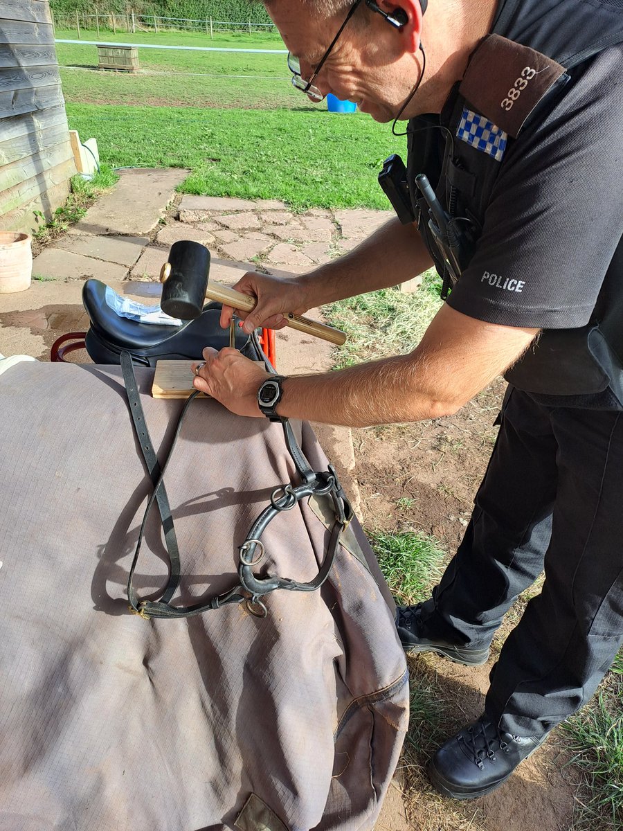HagRuberyCops's tweet photo. Rural and Business crime officers PC Roberts, PC Tomkins, and PCSO Garvey have attended a stable yard in Clent this afternoon to security mark saddles.
#policingpromise
#communitycharter https://t.co/fxb7Vej9JM