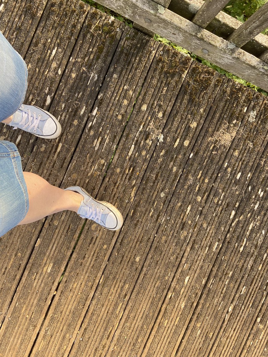 rochiepalmer's tweet image. Love a weekend walk!! Especially in October in shorts!! #weekendrecovery #selfcare ☺️