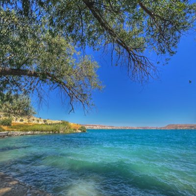 SayfiyeeKafe's tweet photo. #YeniProfilResmi https://t.co/VHOGQ93UUP