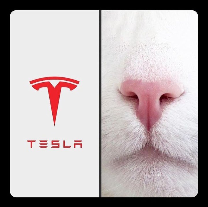 bokyashahi's tweet photo. उद्या @elonmhaske123 आणि @Tesla यांना कायदेशीर नोटीस पाठवणार.
#Bokyaशाही 😹

@BokyaBhau @cheetah18092022 @Waghoba11 @assalbhujang @GhodaBhau @AkasshSpeaks @RRP_datta @Gautam09569305 @B_E_RoJGaaar @Prashan18720114 https://t.co/IzhdcRSjTL
