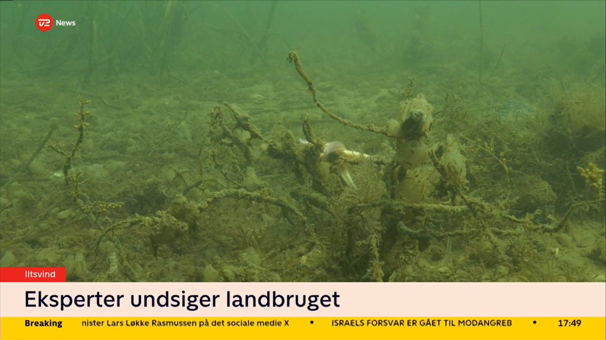 vogelanders's tweet photo. Havmiljø-forskere fra både AU og DTU må nu IGEN i medierne for at slå fast, at landbrugslobbyen afsporer debatten om iltsvind med snak om udland+spildevand. Vores massive problemer med iltsvind i DK skyldes landbrug. Kan vi ikke snart komme videre? Vi har spildt tid nok #dkpol https://t.co/9lo10rZJdK