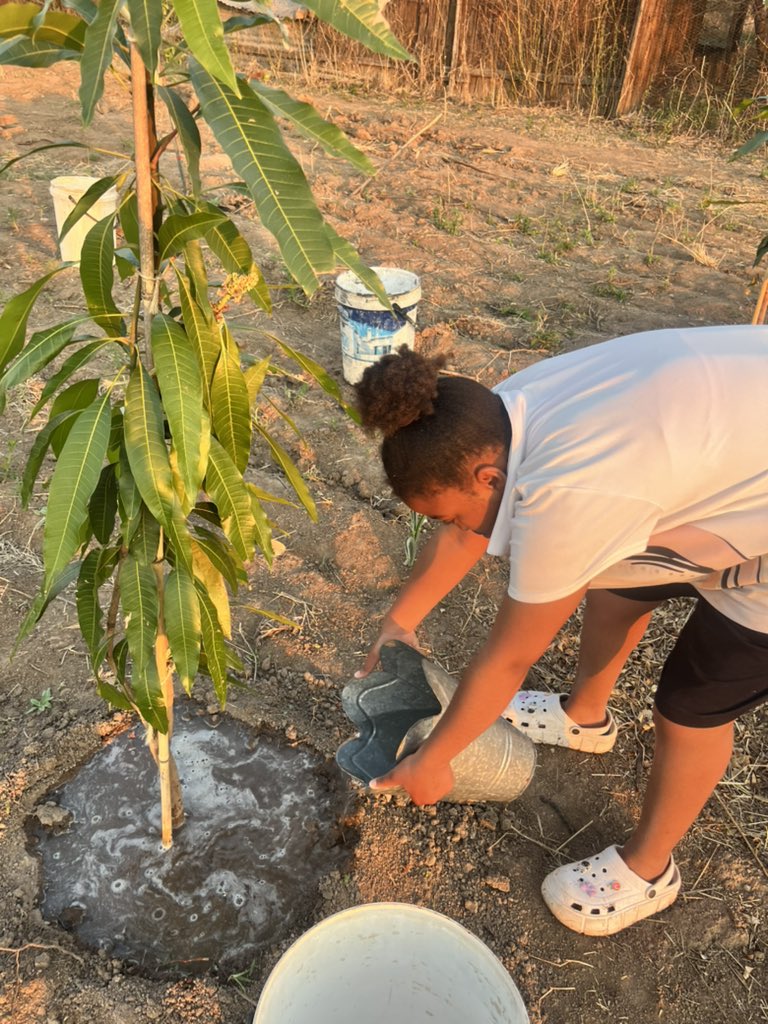 BukhoBami's tweet photo. A little agricultural work 🌱 

#BukhoCamp2023 https://t.co/n5nP8wFwLS