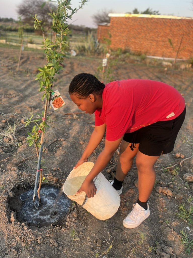 BukhoBami's tweet photo. A little agricultural work 🌱 

#BukhoCamp2023 https://t.co/n5nP8wFwLS