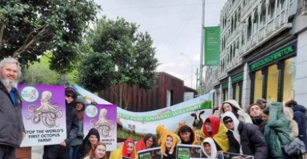 AnimalPartyIE's tweet photo. 💔🐙DEMO against world's first octopus farm, Tomorrow SUNDAY Oct 8th, top of Grafton Street, Dublin at 12 noon. 
In solidarity with @PartidoPACMA our Spanish sister party, determined to stop #octopusfarm in #GranCanaria .  Please come along and join us.
#EP2024
#WorldOctopusDay https://t.co/S21f0J51JS