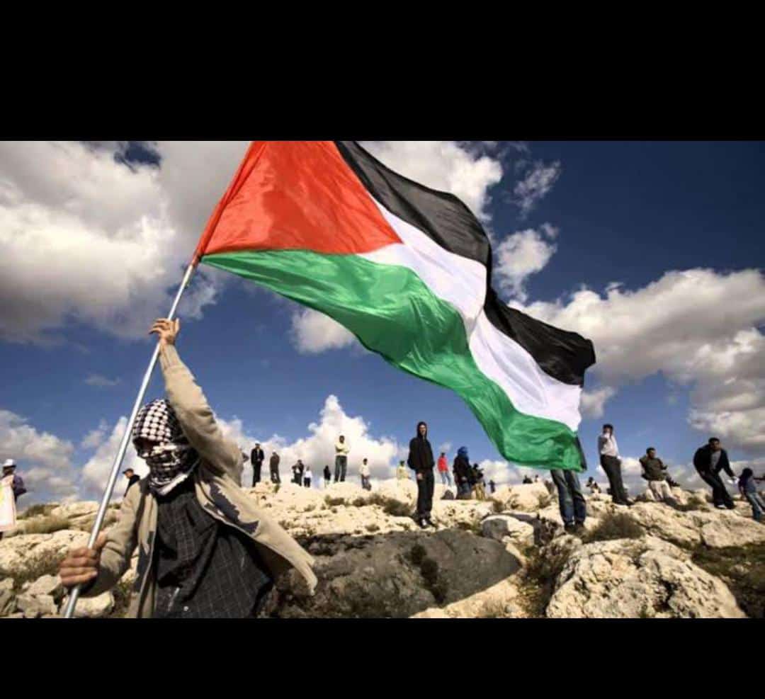 ✌🏻🇵🇸