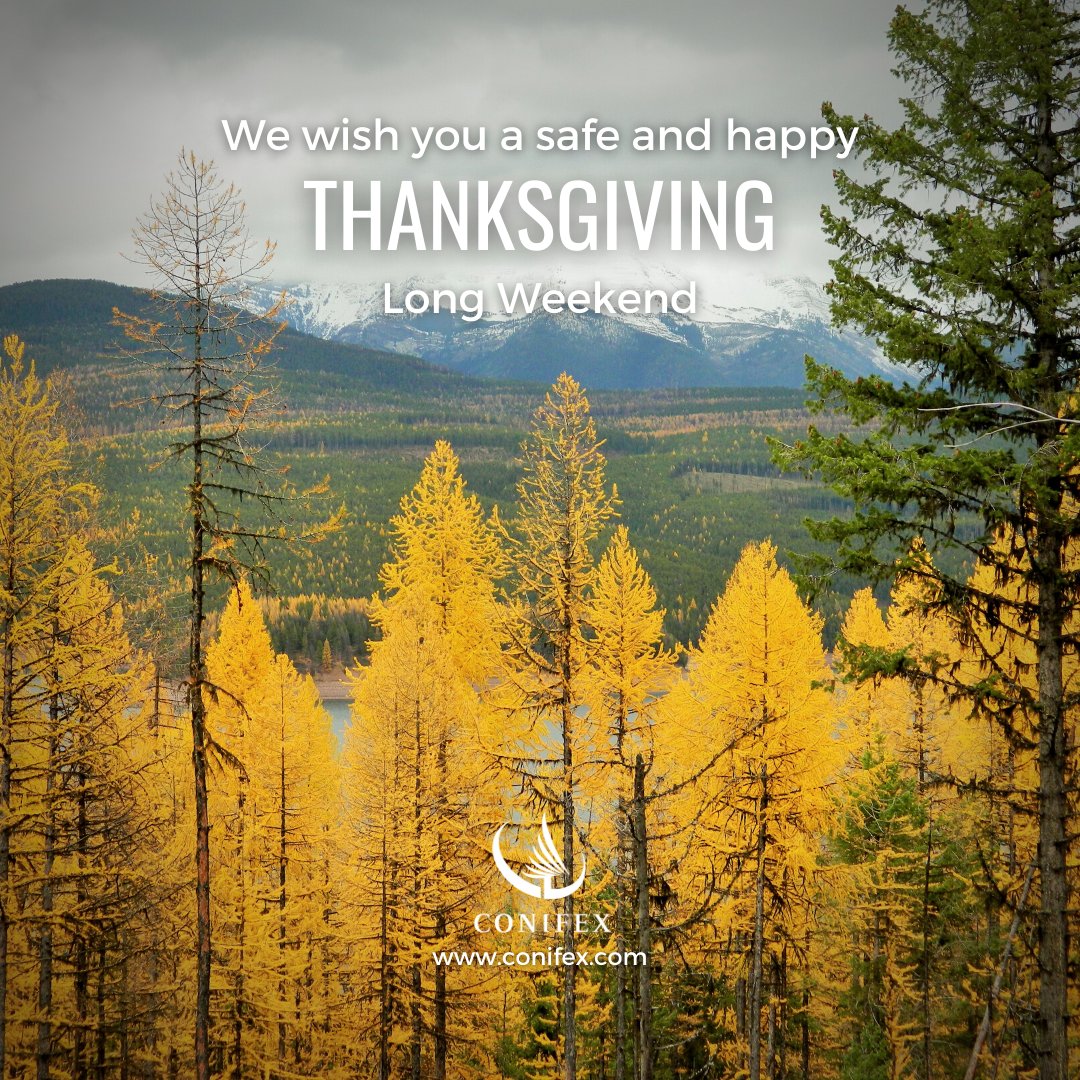 Thanksgiving is a time to reflect on everything you are grateful for &amp; to share your gratitude with others.  <a href="/Conifex_BC/">Conifex</a> is thankful for our families, friends, partners and skilled staff who work so hard to make us successful. Have a safe and happy long weekend.
#WeAreConifex