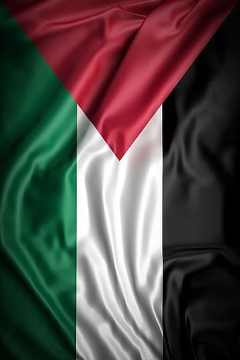 HalalNation_'s tweet photo. We will stand by our brothers &amp; sisters 🇵🇸🫀 https://t.co/CbgmaieSHx