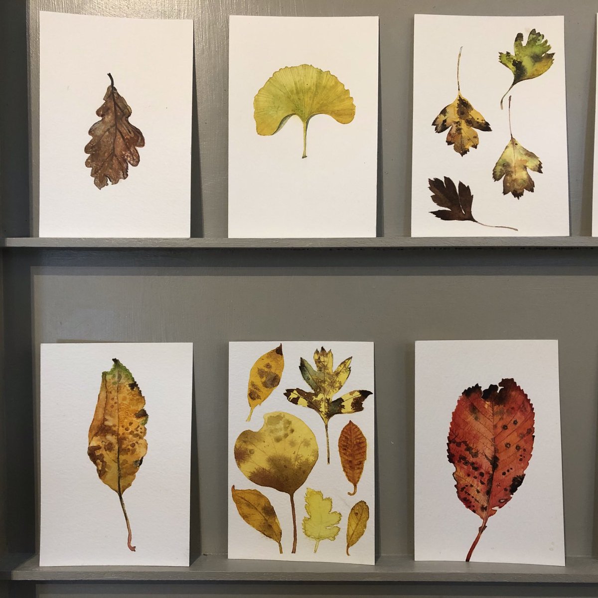 It’s that time of year again to start hunting for the first beautiful autumn leaves to paint postcards of #1000postcards